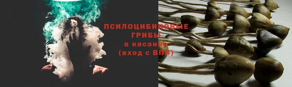 альфа пвп Верхний Тагил