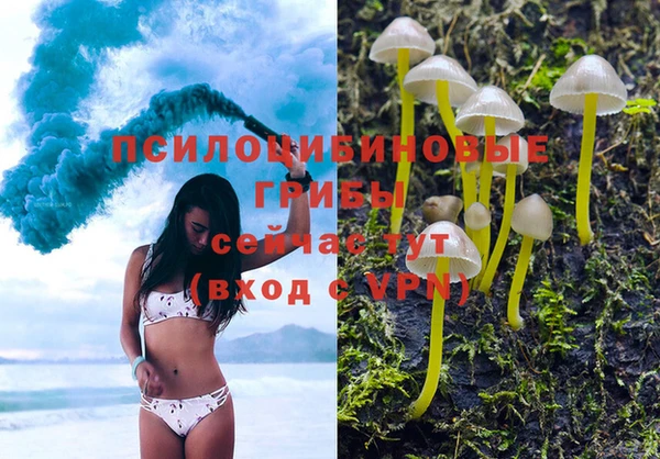 дживик Верея