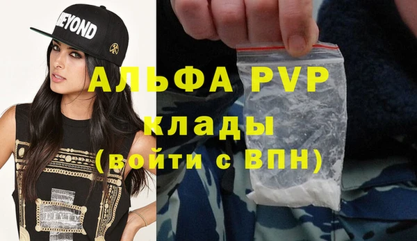 прущие грибы Волоколамск