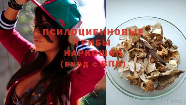 дживик Верея