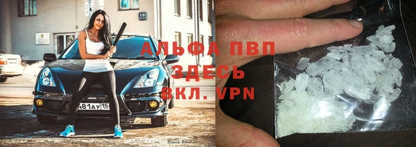 индика Тутаев