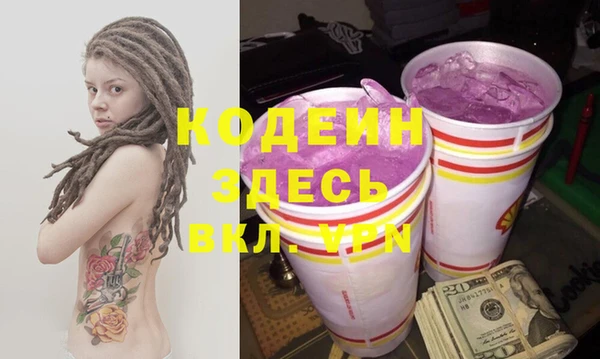 прущие грибы Волоколамск